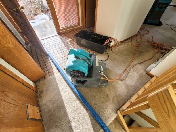  Bolivar, OH Water damage restoration Pros